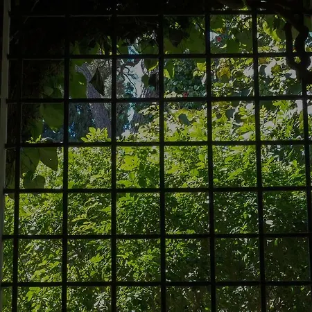 La Casetta Di Borgo Carbone *